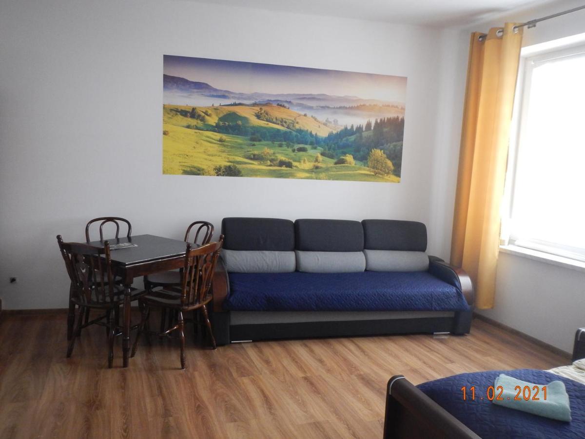 Apartament Providentia Zakopane Witkiewicza 3 Eksteriør bilde